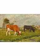 lost masterpiece holland cattle