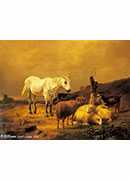 a horse, sheep and a goat in a landscape