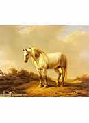 a white stallion in a landscape