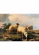 sheep and a chicken in a landscape