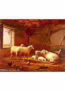 sheep with chickens and a goat in a barn