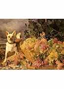 a dog by a basket of grapes in a landscape