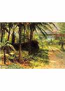 tropical landscape