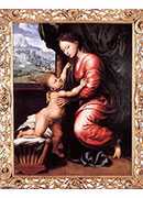 ʥĸ - virgin and child