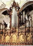 organ