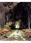 equestrienne on a wooded lane