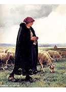 a shepherdess with her flock