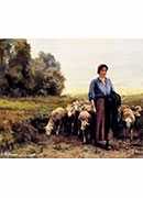 shepherdess with her flock