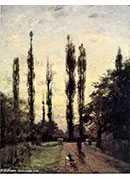 evening, poplars