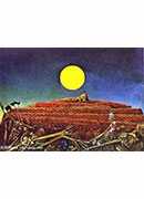 ˹•˹_25 - max ernst_25