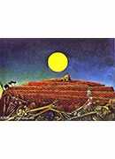 ˹•˹_100 - max ernst_100