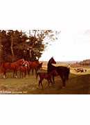 chevaux dans la campagne