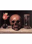 : - still life with a skull