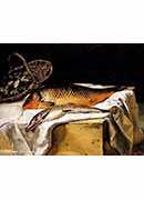 : - still life with fish