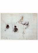 մϰ - studies of leda and a horse