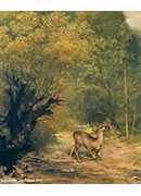 the hunted deer on the alert spring