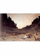 dogs of the douar devouring a dead hourse in the gorges of el kantar