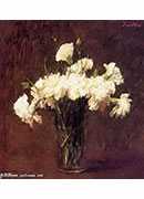 white carnations