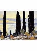 cypress trees at san vigilio