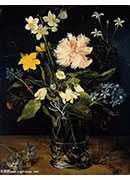 :ƿеĻ - still life with flowers in a glass