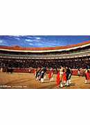 ţ - plaza de toros, the entry of the bull