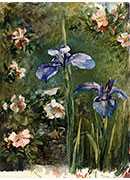 wild roses and irises