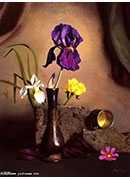 flower stillife1