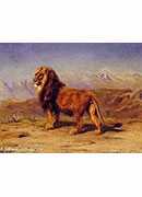 lion in a landscape