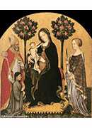 ʥϵʥĸӣʥͽһλʩ - Mary Enthroned with the Child, Saints and a Donor