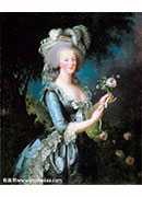 õ - Marie-Antoinette with the Rose