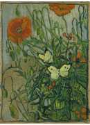  - poppies with butterflies