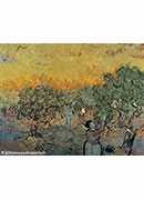 ԰ժŮ - olive orchard with a man and a woman picking fruit