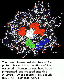 Ⱦɫ11°Ras