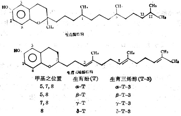 8ȻάEĹ 