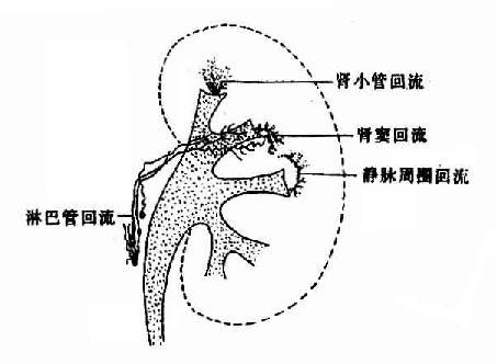 ۸棨أ