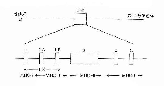 СH-2ṹʾͼ